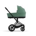 leaf green matt black