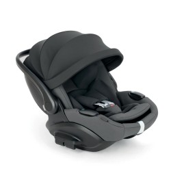 Inglesina Darwin Infant Recline Evo canyon grey