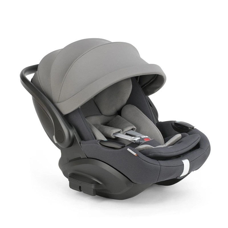 Inglesina Darwin Infant Recline Evo canyon grey