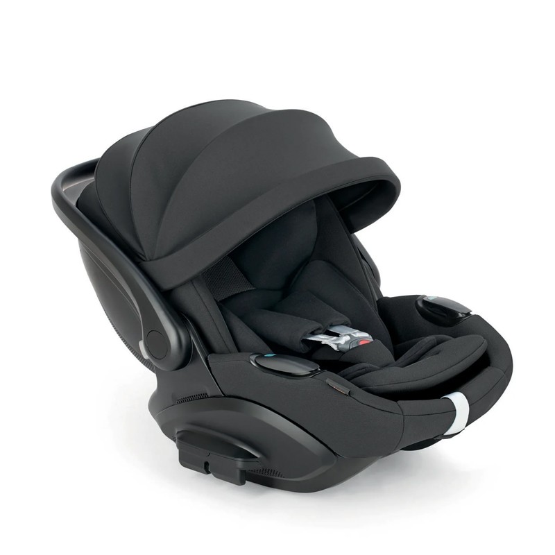 Inglesina Darwin Infant Recline Evo canyon grey