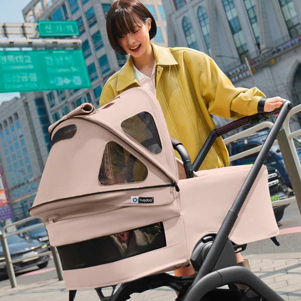 bugaboo dragonfly plus carrito bebe