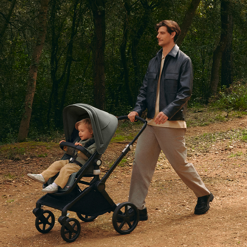 carro bugaboo fox cub