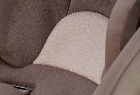 inglesina darwin side head protection